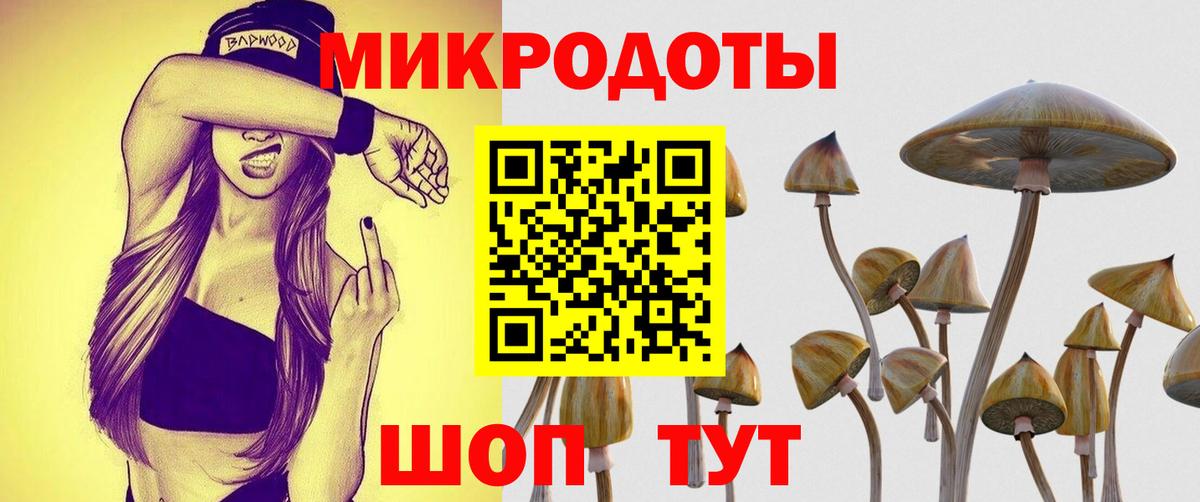 Галлюциногенные грибы мицелий Улан-Удэ