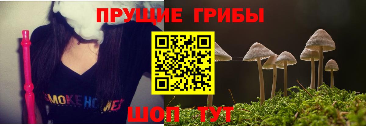 купить закладку  Вход с VPN  Улан-Удэ  Галлюциногенные грибы GOLDEN TEACHER  Галлюциногенные грибы Magic Shrooms 