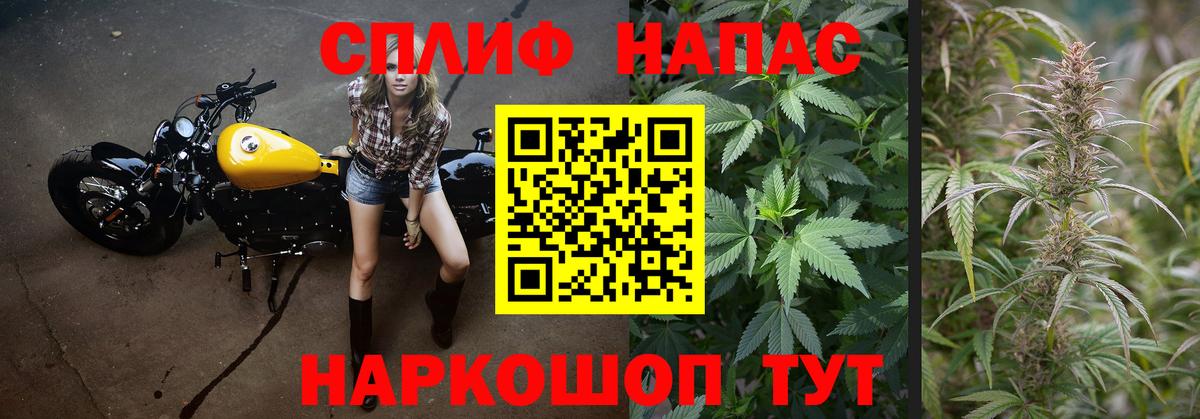 Каннабис ГИДРОПОН Улан-Удэ